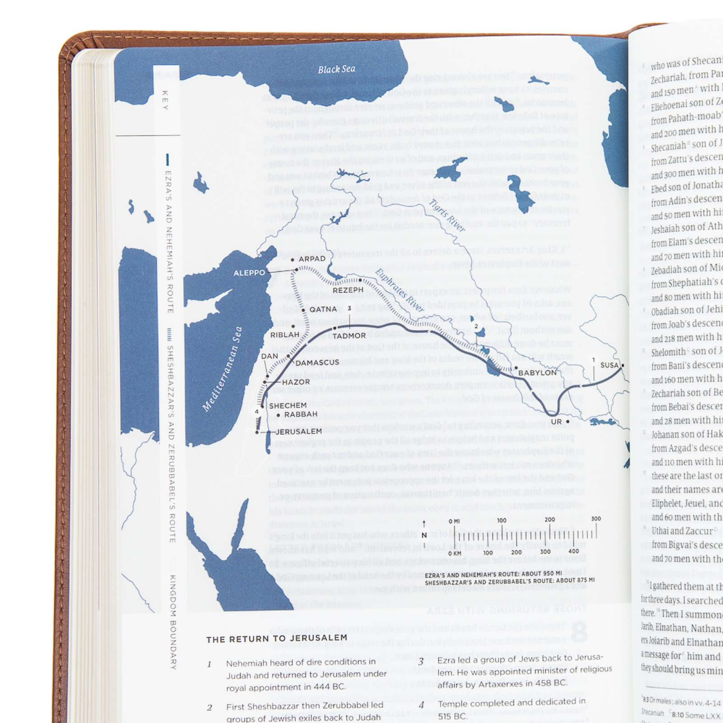 CSB He Reads Truth Bible, Saddle Leathertouch