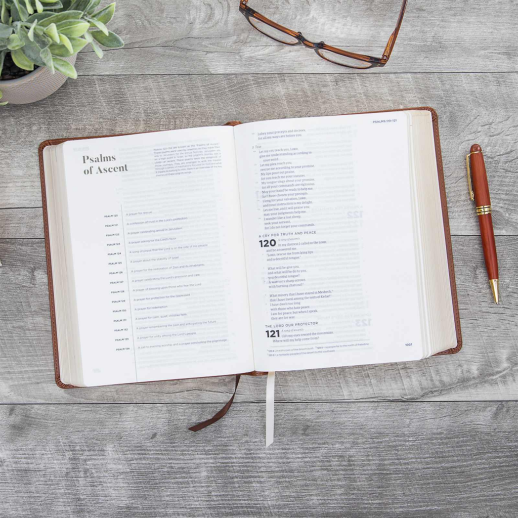 CSB He Reads Truth Bible, Saddle Leathertouch