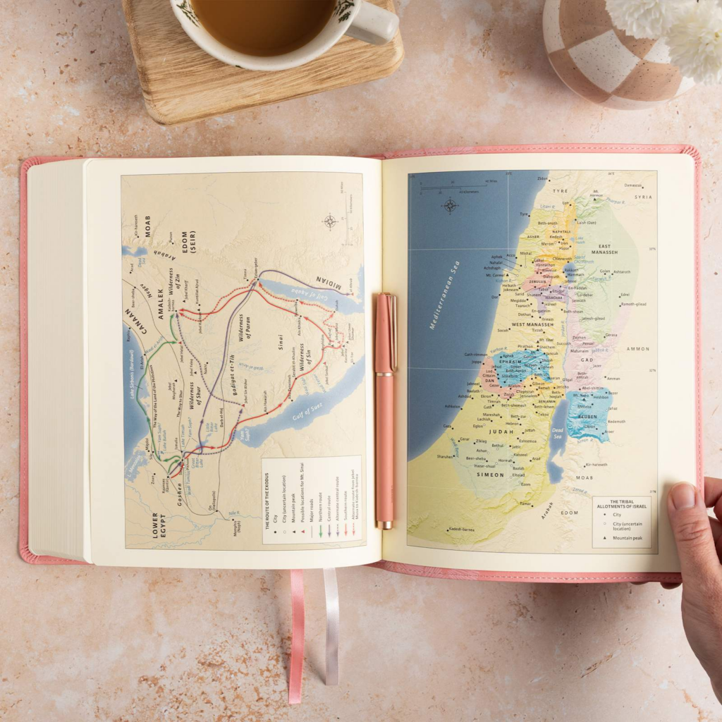 KJV Notetaking Bible, Large Print, Soft Pink