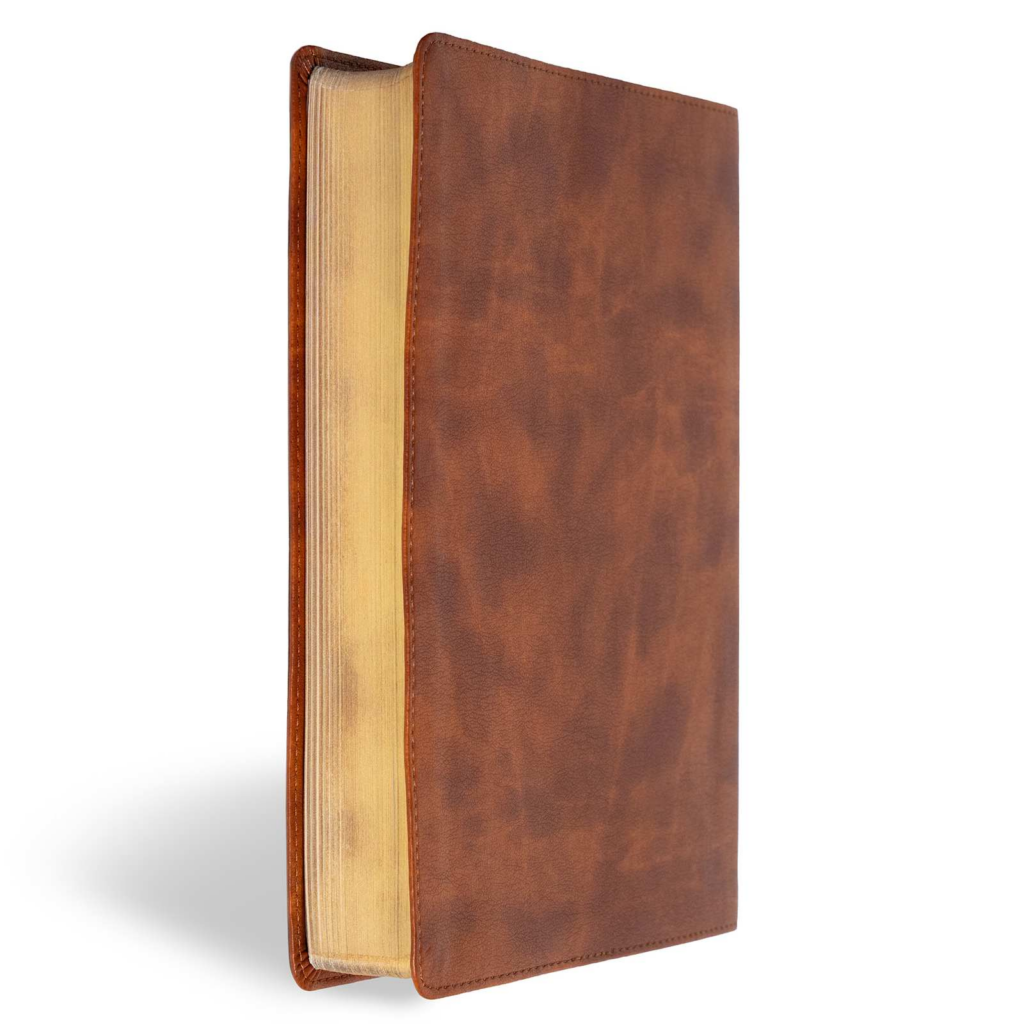 CSB Men of Character Bible, Brown