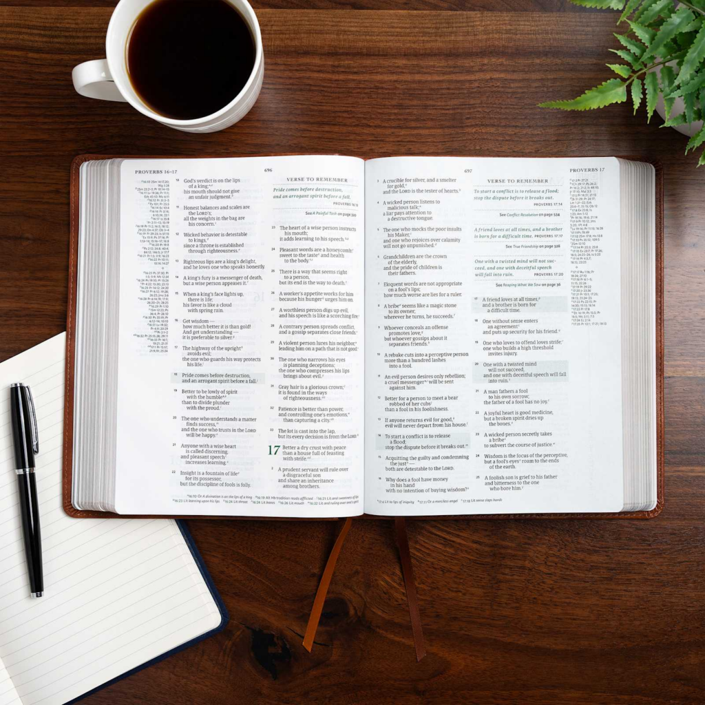 CSB Men of Character Bible, Brown