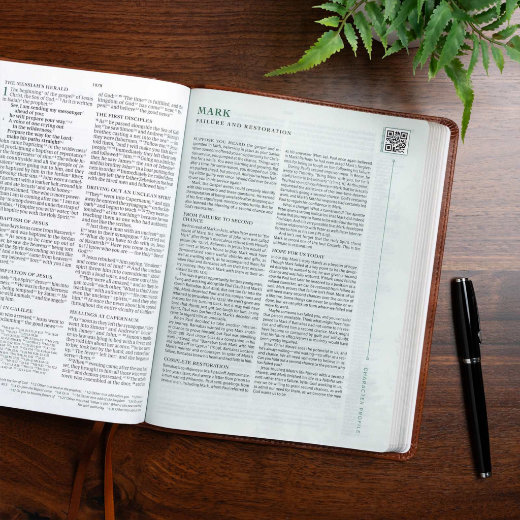 CSB Men of Character Bible, Brown