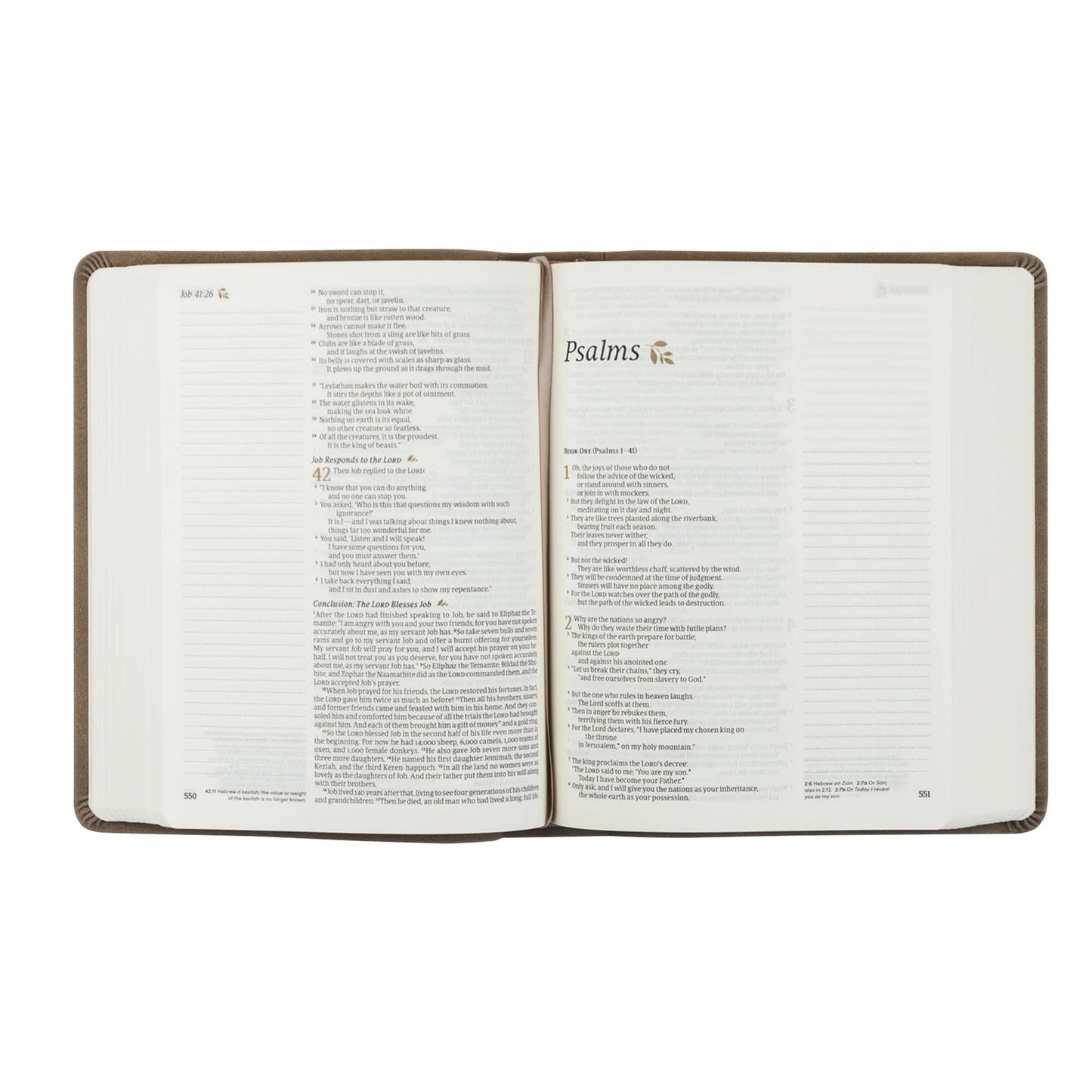 Hosanna Revival NLT Marlo Notetaking Bible