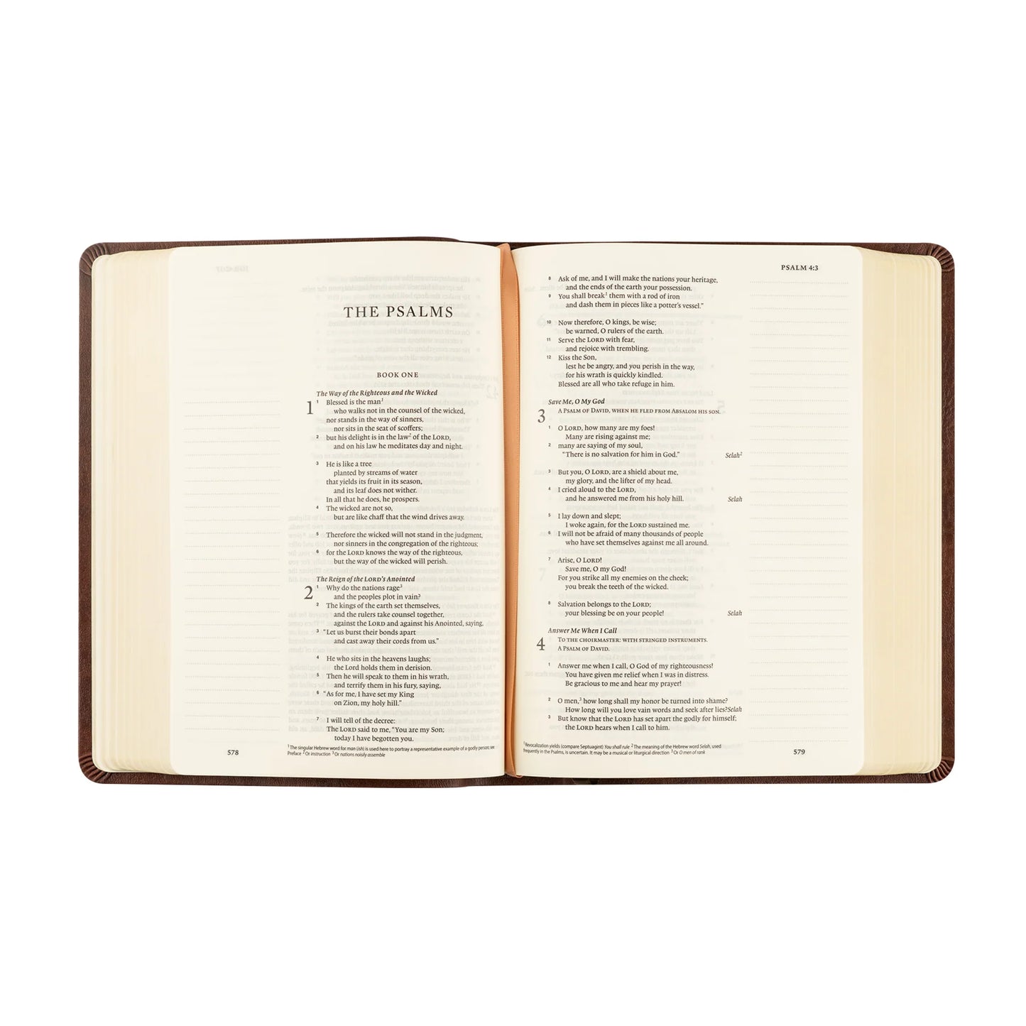 Hosanna Revival ESV Journaling Bible: Palma Theme