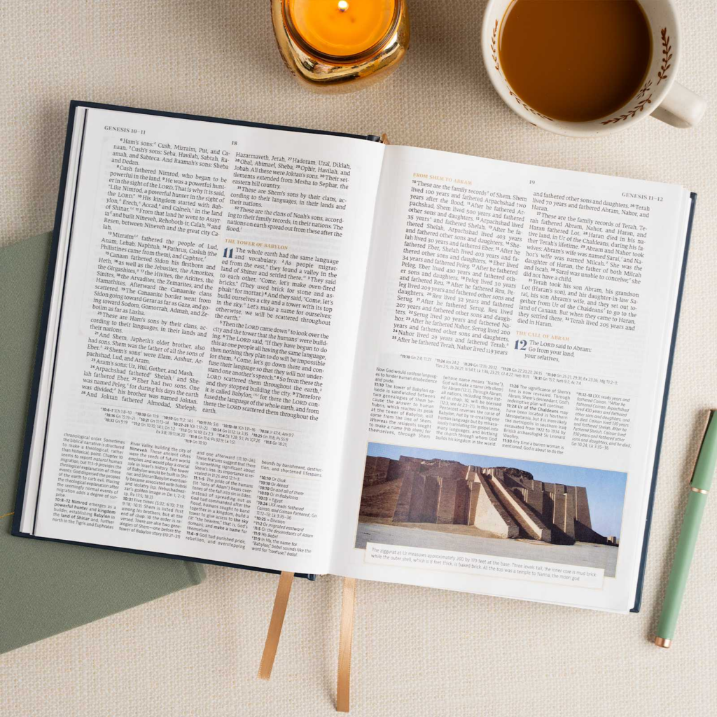 CSB Women's Study Bible, Peacock