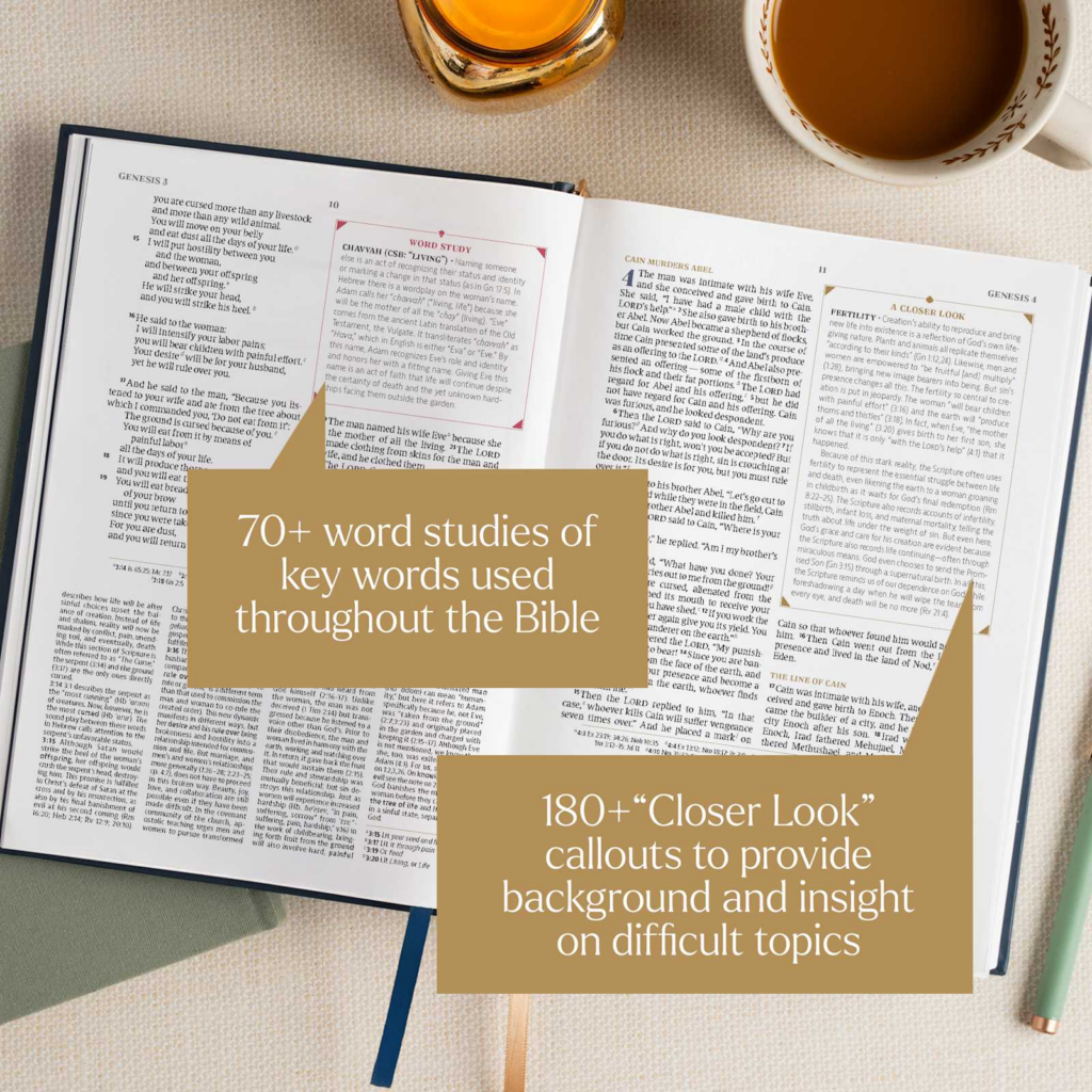 CSB Women's Study Bible, Peacock