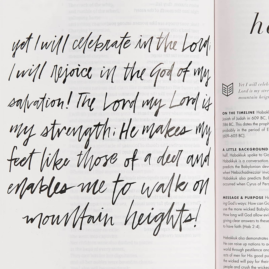 CSB She Reads Truth, Navy