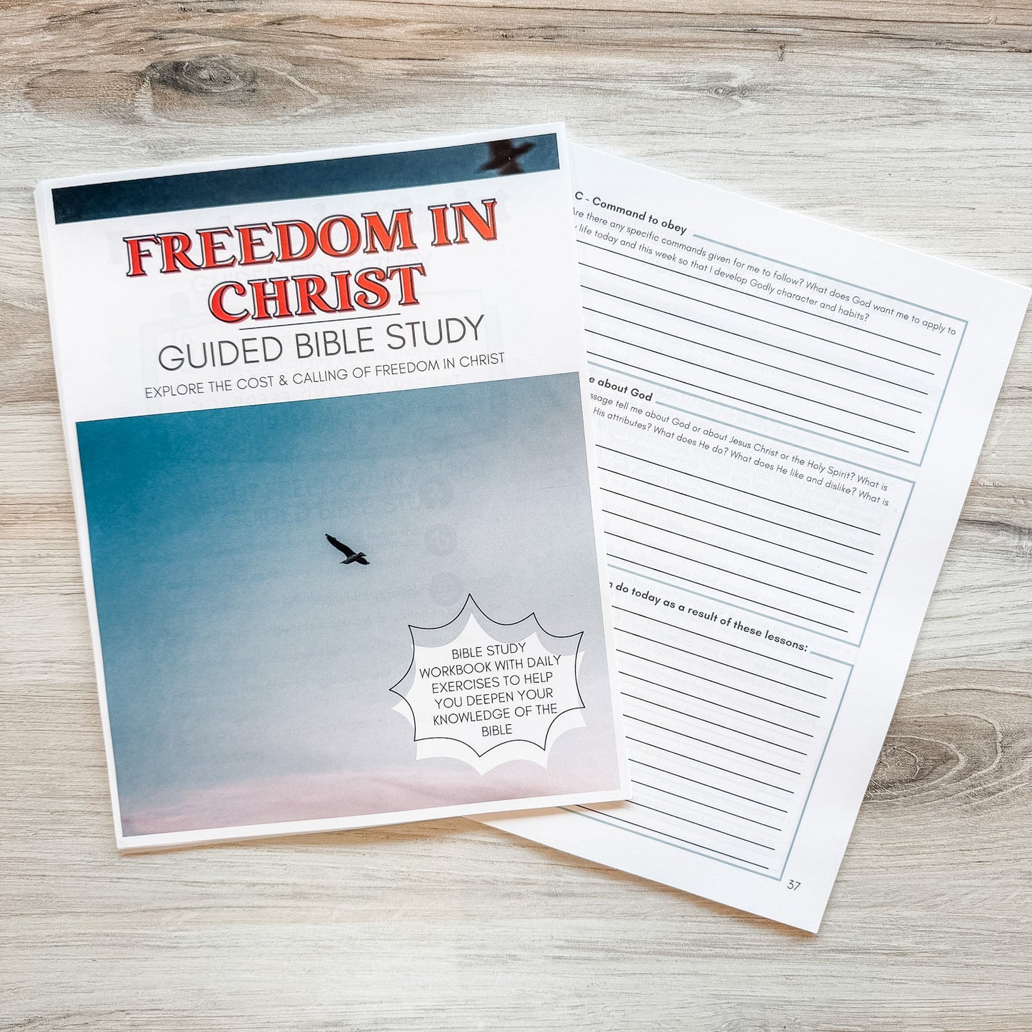 Freedom in Christ Bundle