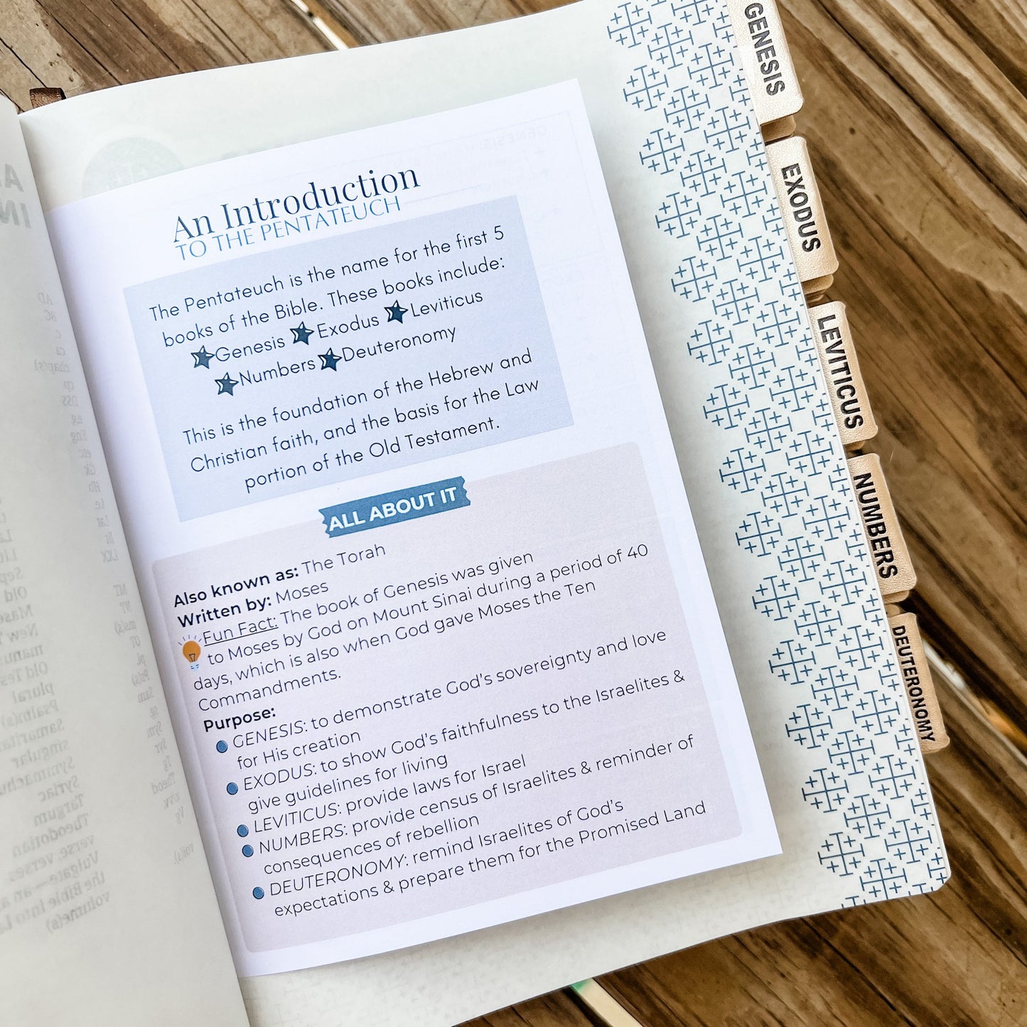 April 25th - In-Person Loaded Bible Workshop