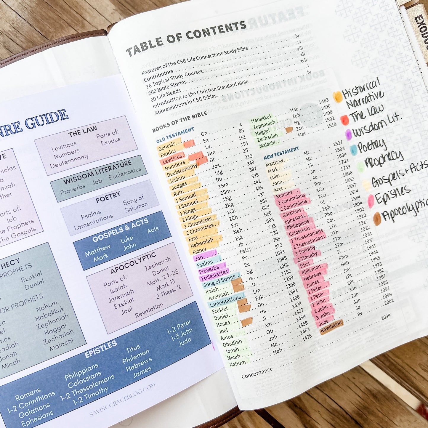 April 25th - In-Person Loaded Bible Workshop