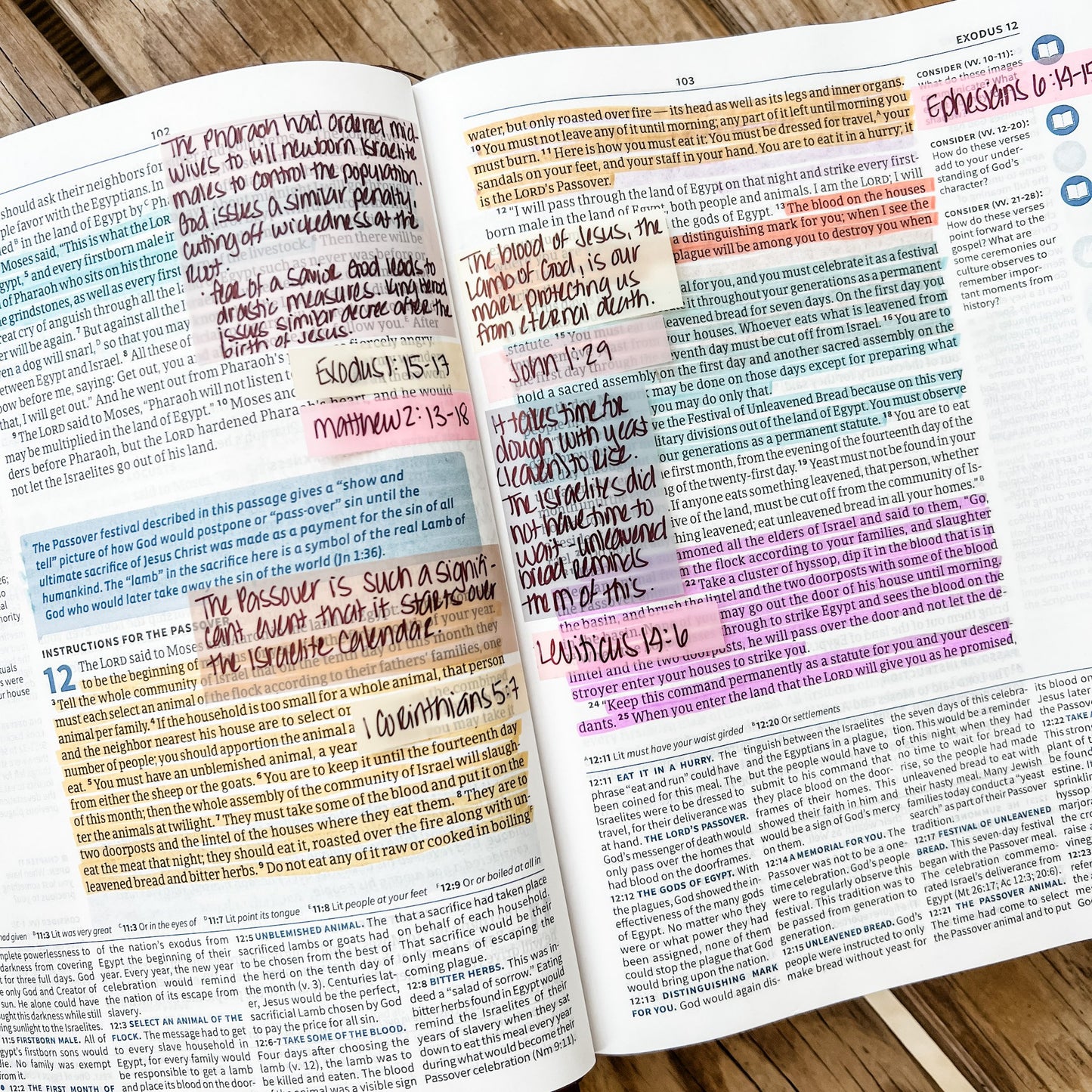 April 25th - In-Person Loaded Bible Workshop