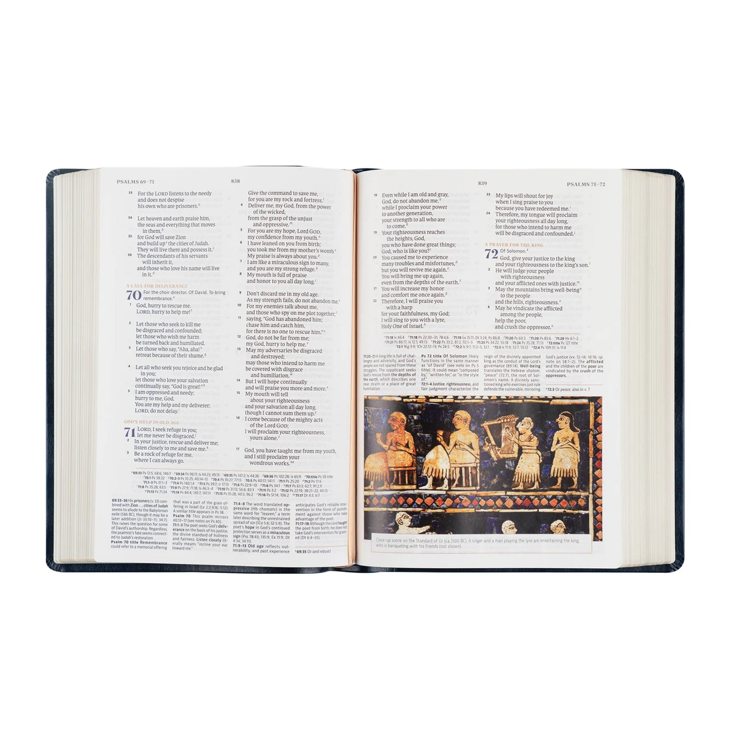 Hosanna Revival CSB Women's Study Bible: Versailles Theme